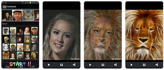 Face Morph app